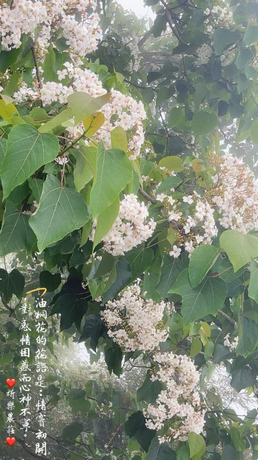 Lala Mountain Homestay‧Cile Farm Hualing Exterior photo